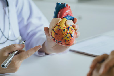 Cardiology